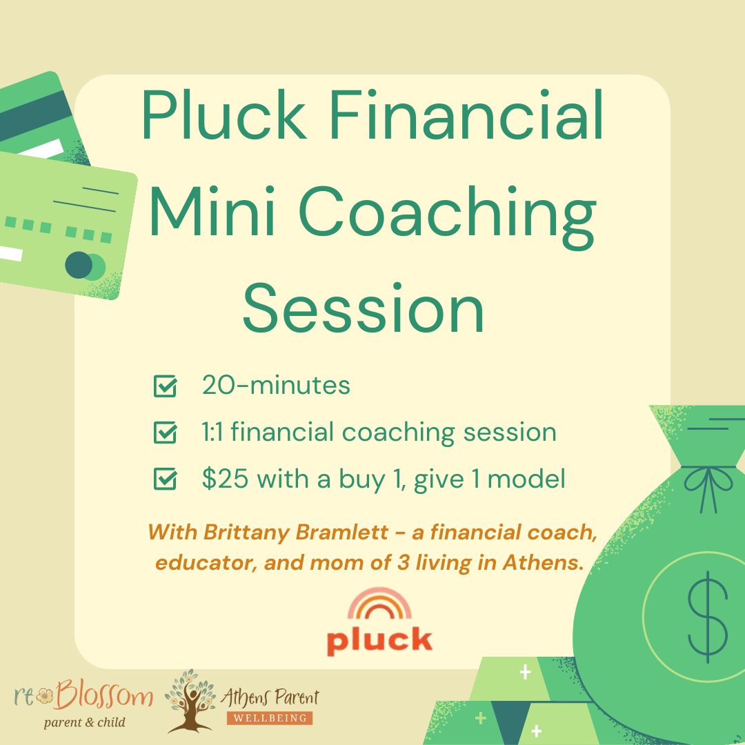 Pluck Financial Coaching Mini Session
