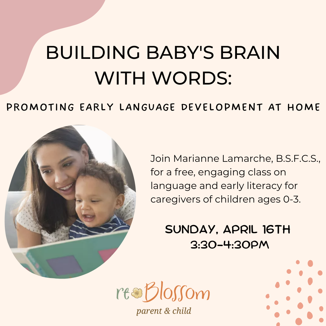 Building Baby's Brain with Words