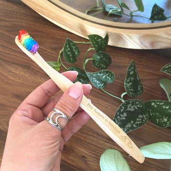 The Future is Bamboo Toothbrush - Adult Rainbow