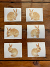 Mrs. Grossman&#39;s Stickers / Half sheet - Peter Rabbit