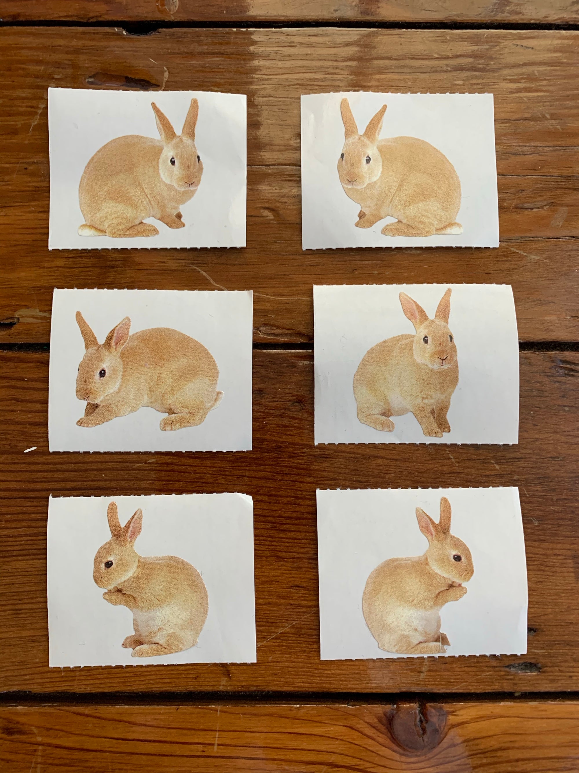 Mrs. Grossman's Stickers / Half sheet - Peter Rabbit
