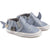 Robeez Sebastian Shark Soft Soles -  Blue Grey